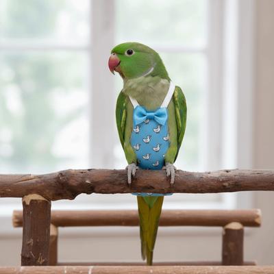 Pet Bird Apron Adjustable Pet Parrot Diaper Cartoon Animal Pattern Breathable Bird Nappy Bowtie Bird Vest Travel