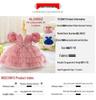 2026 Girls' V-Neck Mesh Cake Skirt Dress - Birthday & Flower Girl Party Outfit