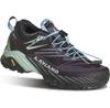 Треккинговые ботинки Kayland Duke GTX Fast Hiking