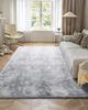 Indoor Plush Area Rugs, 2.74 X 3.66m Soft Plush Carpet, Furry Shag Area Rugs for Living Room, Bedroom, Modern Home Decor Aesthetic Long-Pile Rug,