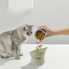 Double Cat Dog Bowl Pet Feeding Cat Water Bowl For Cats Food Pet Bowls For Dogs Feeder Product Supplies