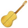 ARIA Flamenco Guitar with Soft Case A-100F