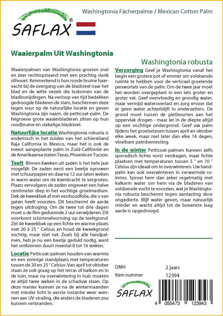 SAFLAX Mexikói gyapotpálma - 12 mag - cserepes szubsztrátummal a jobb termesztés érdekében - Washingtonia robusta
