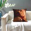 1Pc Double Sided Print Kpop Style Hyunjin Throw Pillow Cover Skz Photo Cushion Case For Fans Home Sofa Bedroom Decor