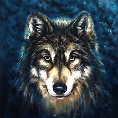 Diy Diamond Painting Wolf Diamond Embroidery Europe Home Decoration