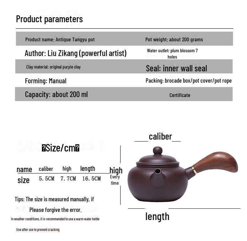 Handmade Yixing Purple Clay Teapot Set - Antique-Style Tangyu Side Handle