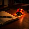 Glowing Night Light, Decorative Lamp for Bedroom, Cute Shaped
