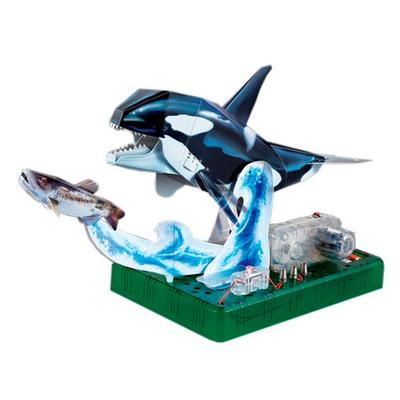 Big Dream Moving 3D Three Dimensional Puzzle DIY Model Model Whale Korea 3d Puzzle