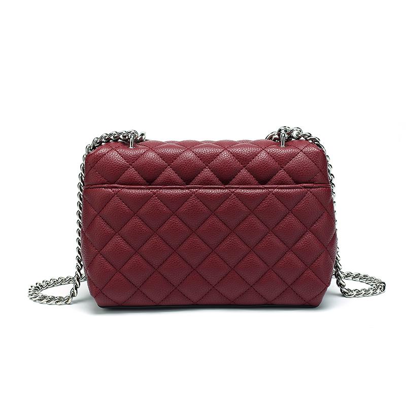 Designer Bags for Women  Luxury Checkered Ladies Crossbody Bags for Women Famous Female Brand Shopping Bag