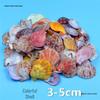 Handcrafted Natural Conch Hermit Crab Shell for Creative Fish Tank Decoration