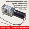 1pc 5840-31ZY Worm Gear Self-locking DC Gear Motor 12V Variable Speed 24V High Torque Electric Motor