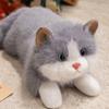 Fluffy Stuffed Cat Doll Ragdoll Cat Simulated Kitten Model Birthday Gifts Plush Cat Doll  Girls