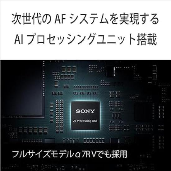 SONY Zoom Lens Kit for Mirrorless Camera Black ILCE-6700M High-Magnification 6700 APS-C (Includes Lens SEL18135)