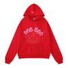 Maglione con stampa ragnatela, con cappuccio, pullover, casual, largo, nuovo