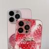 For iPhone 15 Pro Max Case Mirror Painted Fruit Pattern TPU + Acrylic Phone Cover