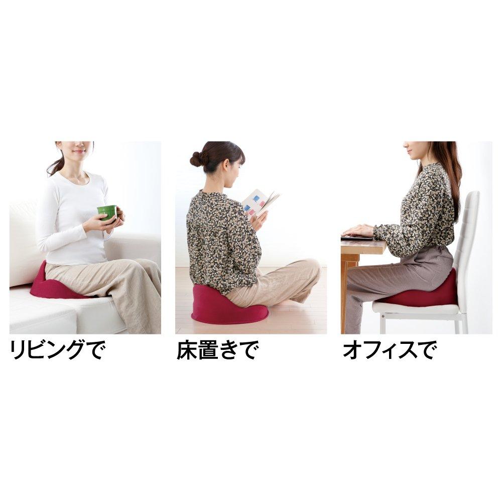 Alphax Posture Support Cushion, Seat Cushion, Chair, Sacrum Cushion, Senritsu, Navy