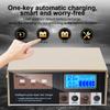For Motorcycle SUV Truck Smart Car Battery Charger High Power 12V 24V 260W LED Display Intelligent Pulse Repair Battery Charging