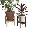 Cross-Shaped Floor Flower Stand - Succulent & Bonsai Display Rack for Living Room or Balcony