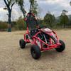 Automobile și motociclete – Pentru ATV-uri