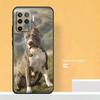 Pit Bull Lovely Dog Pitbull Case For Oppo A74 A94 A54 A15 A17 A57 A6 A5 Pro A16 A76 A96 A40 A60 A80 A18 A38 A58 A78 A98