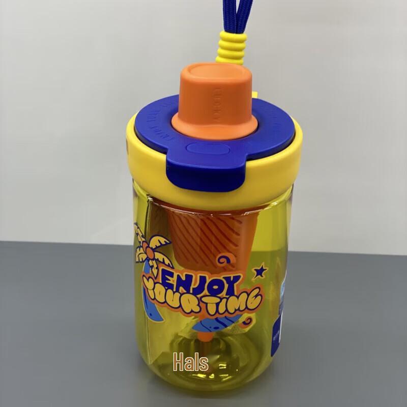 HAERS Tritan Tea Infuser Straw Water Bottle