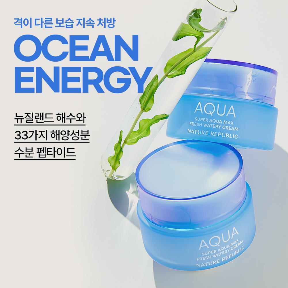 Nature Republic Super Aqua Max Fresh Watery Cream Oily Skin (80ml)