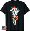 Great Dane Lover Xmas Lighting Santa Great Dane Christmas Unisex T-Shirt