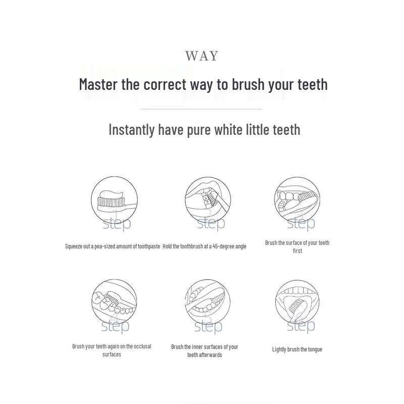 ROAMAN Sonic Electric Toothbrush CN plug (adapter included)