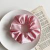 Plush Pig Intestine Hair Tie – Milk Coffee Color: 2025 Christmas Autumn Winter Series Hair Accessories