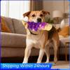 Hundespielzeug Tierförmiges Hundekauspielzeug Nylon Hundezahnpflegespielzeug Hundezahnpflege für mittlere und große Hunde