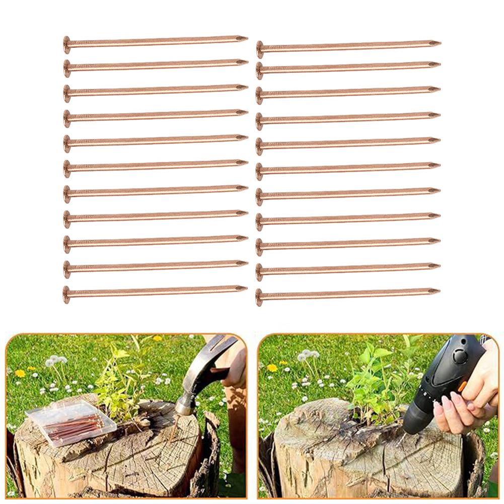 3 5 Inch Copper Nails for Killing Tree Roots and Stumps Effective Hardware for Tree Stump Removal and Root Control