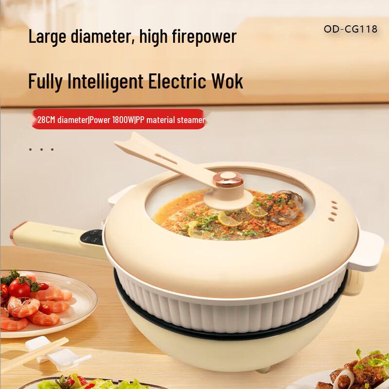 Oudian Multi-functional Electric Wok