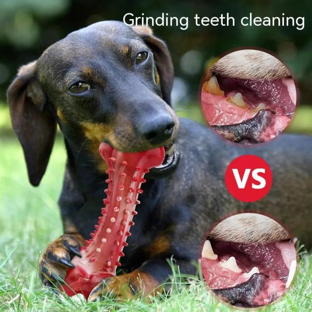Dog Toys Teeth Sharpening Cleaning Dog Bones Natural Rubber Training Stiff Durable Chew Toys for Medium Large Dogs Pets Supplies