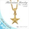 (Aloha Lokahi) Aloha Lokahi Hawaiian Jewelry Necklace, Surgical Stainless Steel, Star Scroll Design, Yellow Gold, Curb Chain (2mm stainless steel