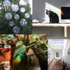 Window Clings Ornaments Set Exquisite Indoor Decorations PVC Glass Sticker Room Adornment Decal Prop Reflective Decals