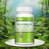 Organic Milk Thistle Capsules, 400mg Potency, Contains 80% Silymarin Flavonoids, Suitable for Adults