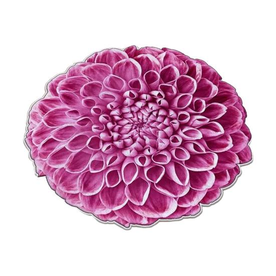 3D Flower Area Rug Absorbent Quick Dry Irregular Plush Floral Floor Mat Washable Non-slip Living Room Bedroom Bathroom Kitchen Decoration Carpet