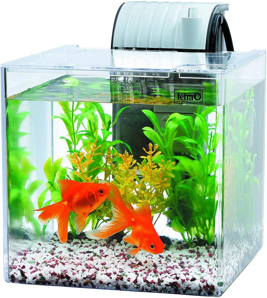 Tetra Plastic Aquarium Quiet Goldfish Keeping Easy to clean with a quiet filter media can be replaced without getting your hands SF-17GF Set filter;
