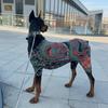 Ejderha Dövmeli Evcil Hayvan Tulumu, Tam Vücut 4 Ayaklı Köpek Kıyafeti, Esnek Şık Köpek Tişörtü, Küçükten Büyüğe Irk Köpekler Kediler İçin Dört Mevsim Kıyafeti