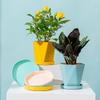 Nordic White Ceramic-Look Resin Flower Pot with Tray, Suitable for Succulents, Small and Stylish.
