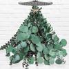 100g Large Natural Plant Real Dried Eucalyptus Bundle Fresh Eucalyptus Leaves for Shower Hanging Bathroom Decor DIYT Garland