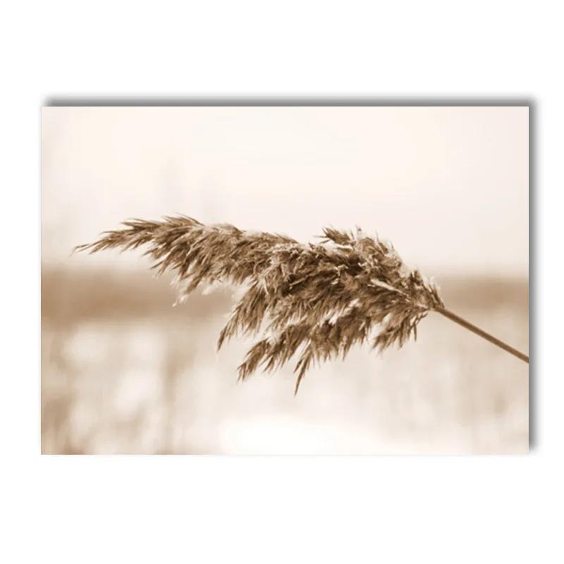 Beige Gras Blume Reed Leinwand Malerei Herbst Landschaft Eichhörnchen Schafe Wand Kunst Drucke Nordic Poster Bild Wohnzimmer Dekor