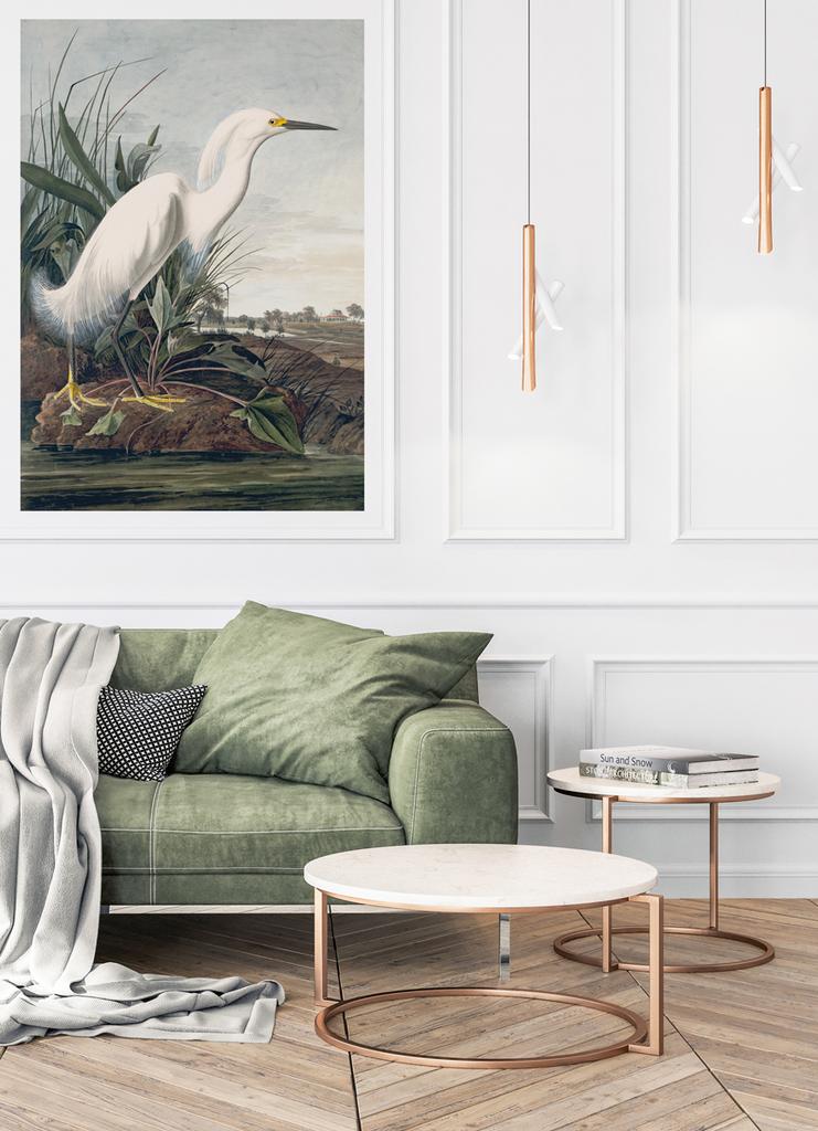 Poster White Bird Wetlands Swamp