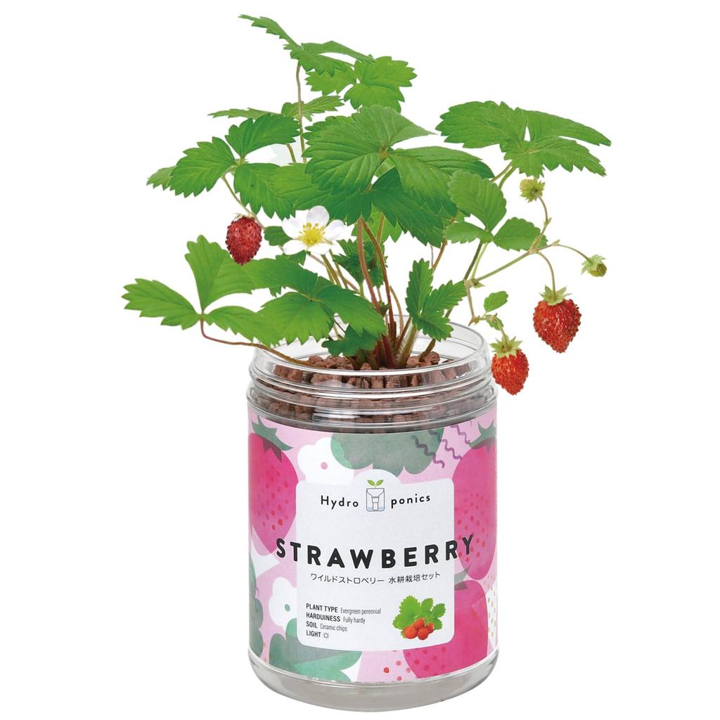 Seishin Pottery Green Pet Wild Strawberry Approximately Size 6.9 H14.5 GD-100203