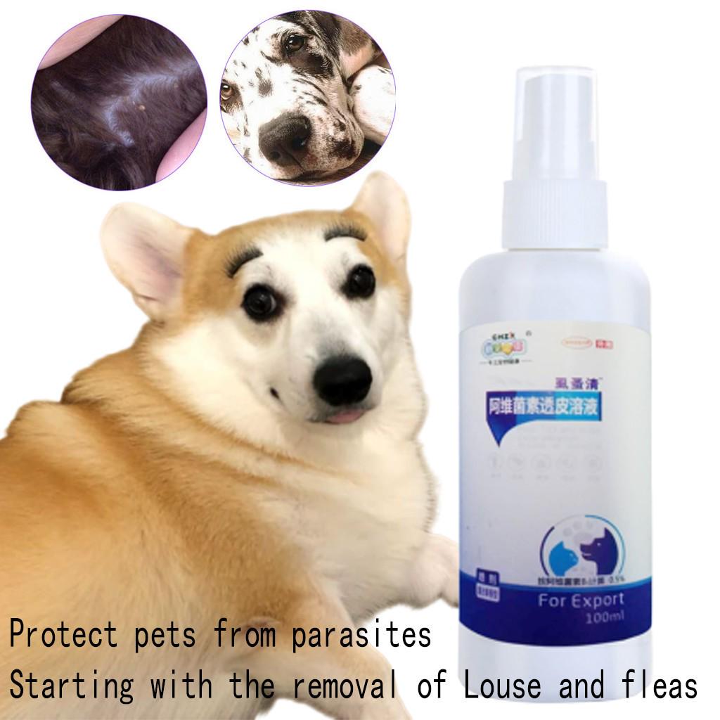 Rookiea-Natural Itch Spray For Pets, Pruritus, Fleas, Mites For Skin Care100ml