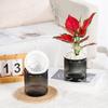 Lazy Hydroponic Flower Pot Self Watering Flowerpot Indoor Mini Succulent Planter Tabletop Vase for Home Garden Bonsai Decoration