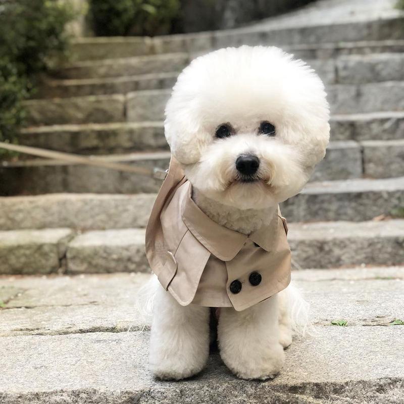 Mode Britischer Stil Hundemantel Windjacke Corgi Französische Bulldogge Haustier Hund Lätzchen Haustierkleidung Umhang Haustier Kostüm Trenchcoat Für Kleinen Hund