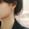 New X Cross-shaped Stud Earrings for Women, Elegant and Fashionable, High-end, Suitable for Various Occasions, Casual Wear.