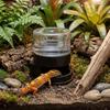 Anti-slip Base Reptile Water Dispenser Plastic Turtle Water Bowl Reptiles Water Feeder  Gecko