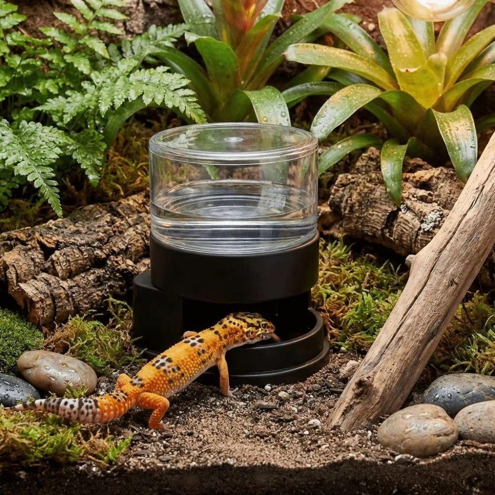 Anti-slip Base Reptile Water Dispenser Plastic Turtle Water Bowl Reptiles Water Feeder Gecko